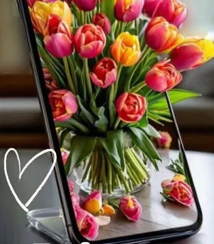 Kabakum Apartment Warna