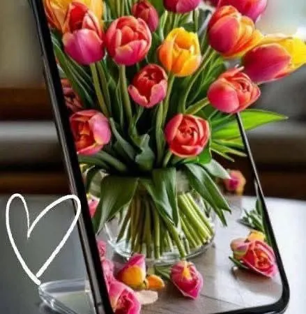 Kabakum Lejlighed Varna